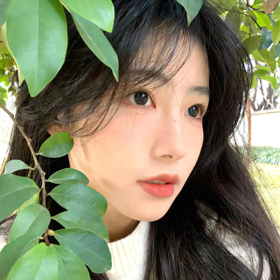 再见，残酷的世界