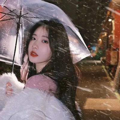 绽放的玫瑰